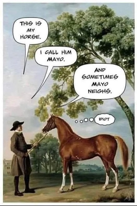 horse mayo neighs.jpg